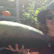 For example, this giant zucchini. (Also pictured: Our Spade & Palacio tour guide.)